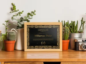 Bulk Certificate Printing - Ideal for Schools, Corporations, or Events